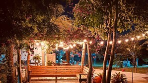 Un banco en un parque bajo una guirnalda de luces, con un sendero pavimentado que lleva a un edificio.
