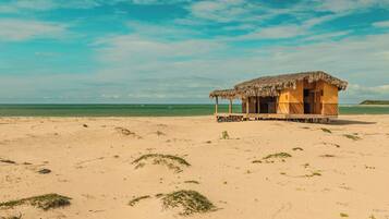 Beach nearby, free beach shuttle, beach bar