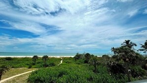 Blick auf einen Strand mit einem Pfad, der zum Wasser führt, umgeben von üppiger Vegetation und Palmen.