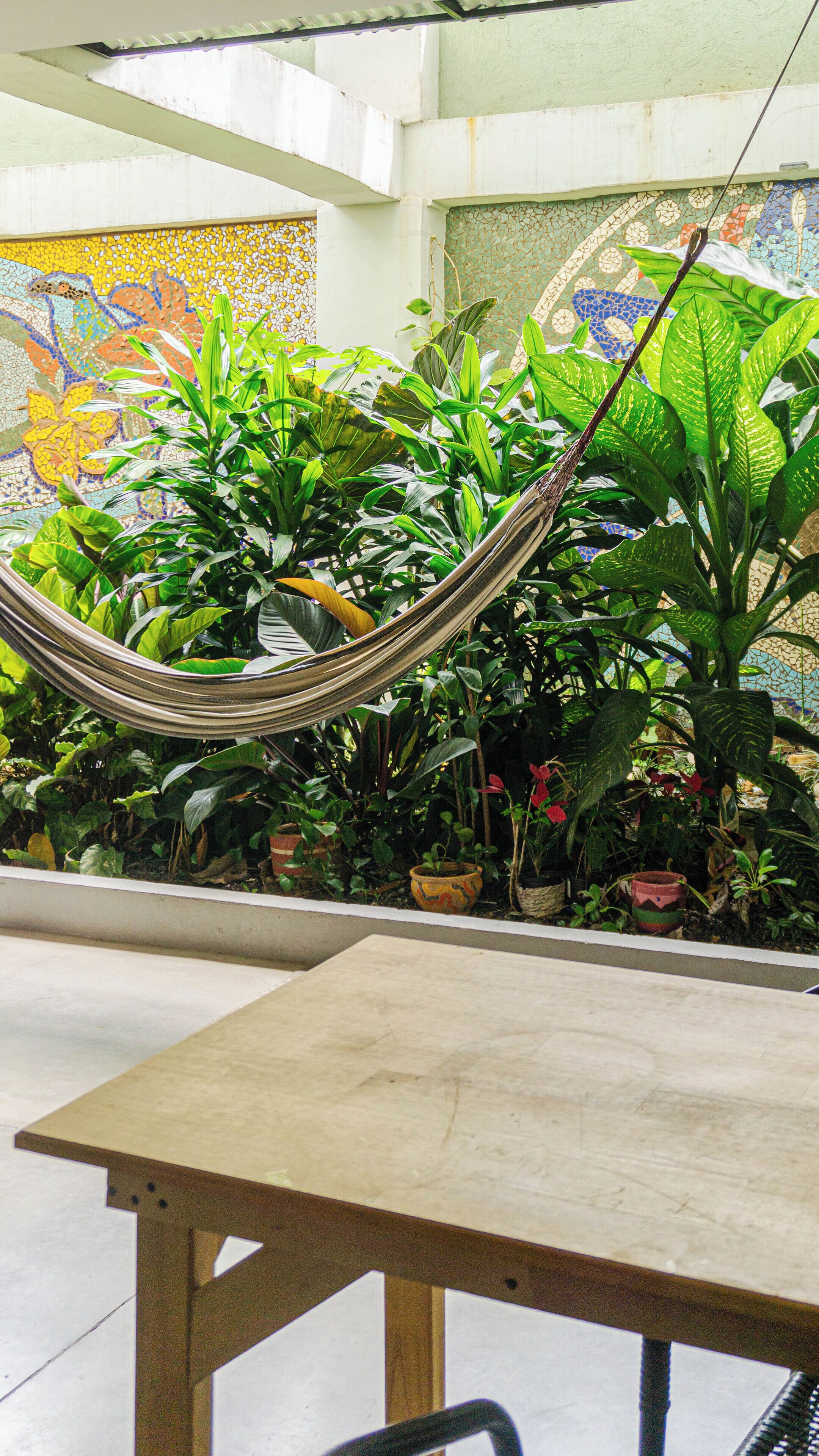 Foto - Selva House