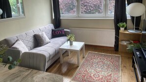 A modern living room with a grey sofa, a white coffee table, a patterned rug, a potted plant, and a view of trees through the window.
