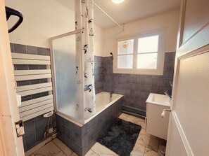 Shower, hair dryer, bidet, towels