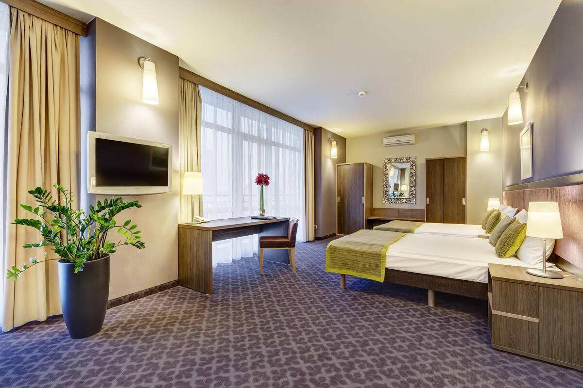 Habitación de hotel con cama, escritorio, silla, televisor, planta en maceta y espejo.