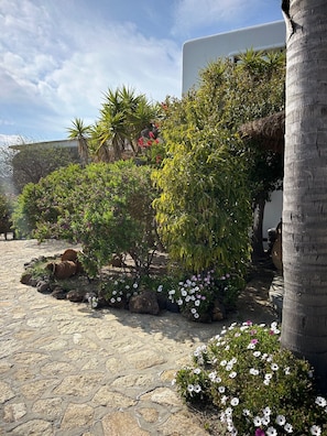 Exterior - Divers house in Mykonos (Mykonos)