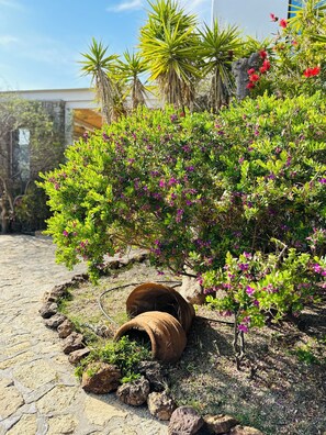 Exterior - Divers house in Mykonos (Mykonos)