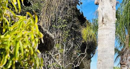 Divers house in Mykonos