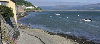 Caban Dyfi – A tranquil, dog-friendly woodland escape near Aberdovey, Wales