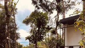 A swimming pool surrounded by trees, with a small outdoor seating area and a building in the background. - Roots Munnar (Devikolam)