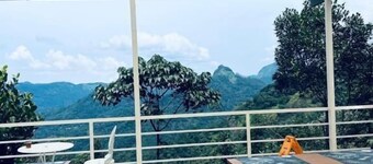 Roots Munnar