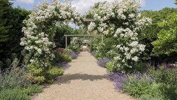 Cottage | Property grounds