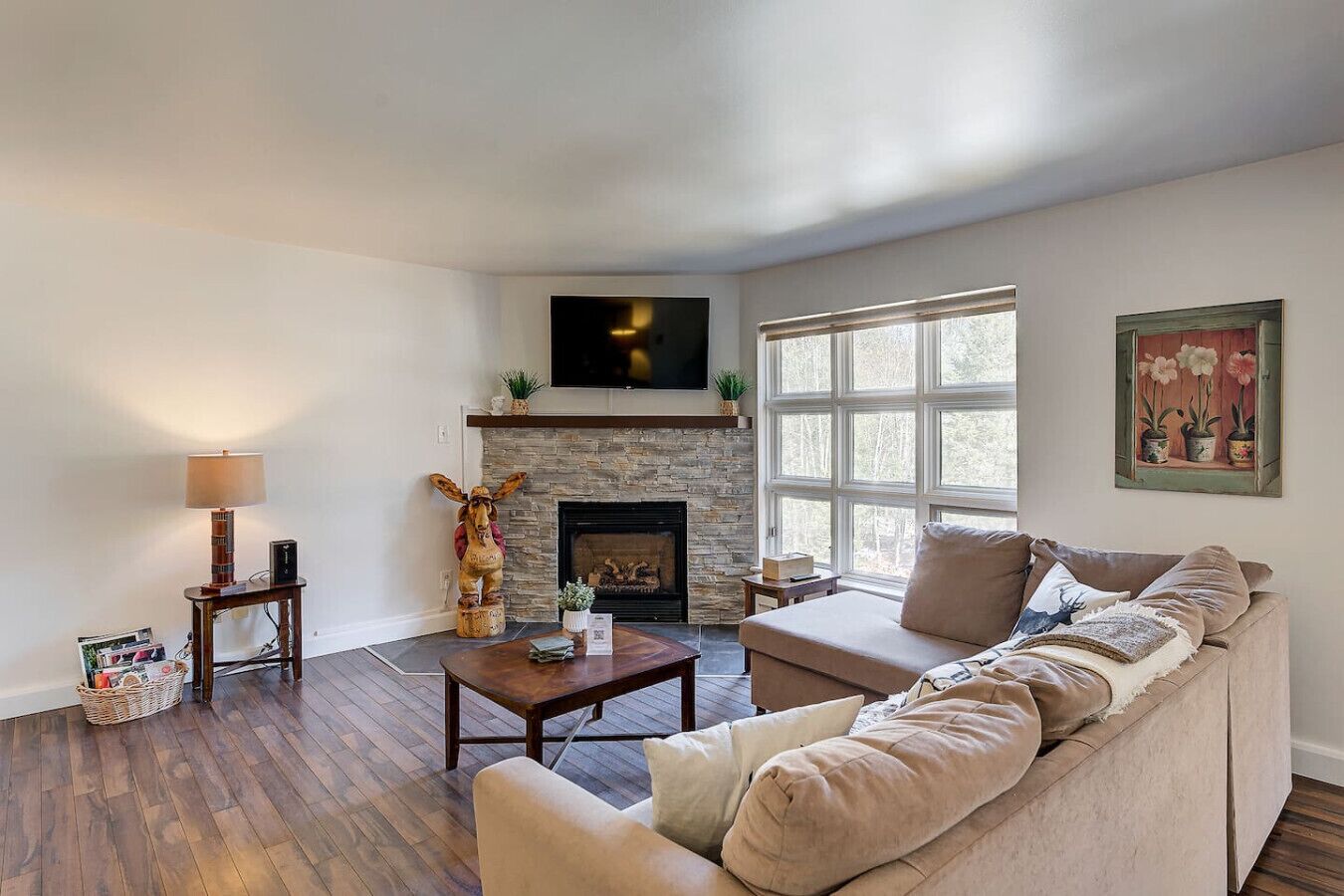 TV, fireplace