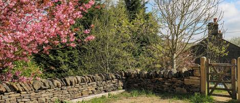 A stone wall with a wooden gate, a stone building, and blooming pink trees.