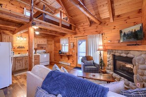 Télévision, cheminée, lecteur de DVD