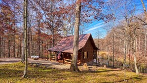 A rustic cabin with a metal roof, surrounded by a forest.