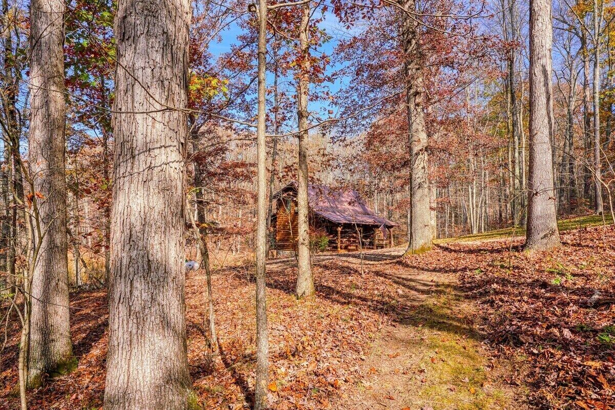 Esterni