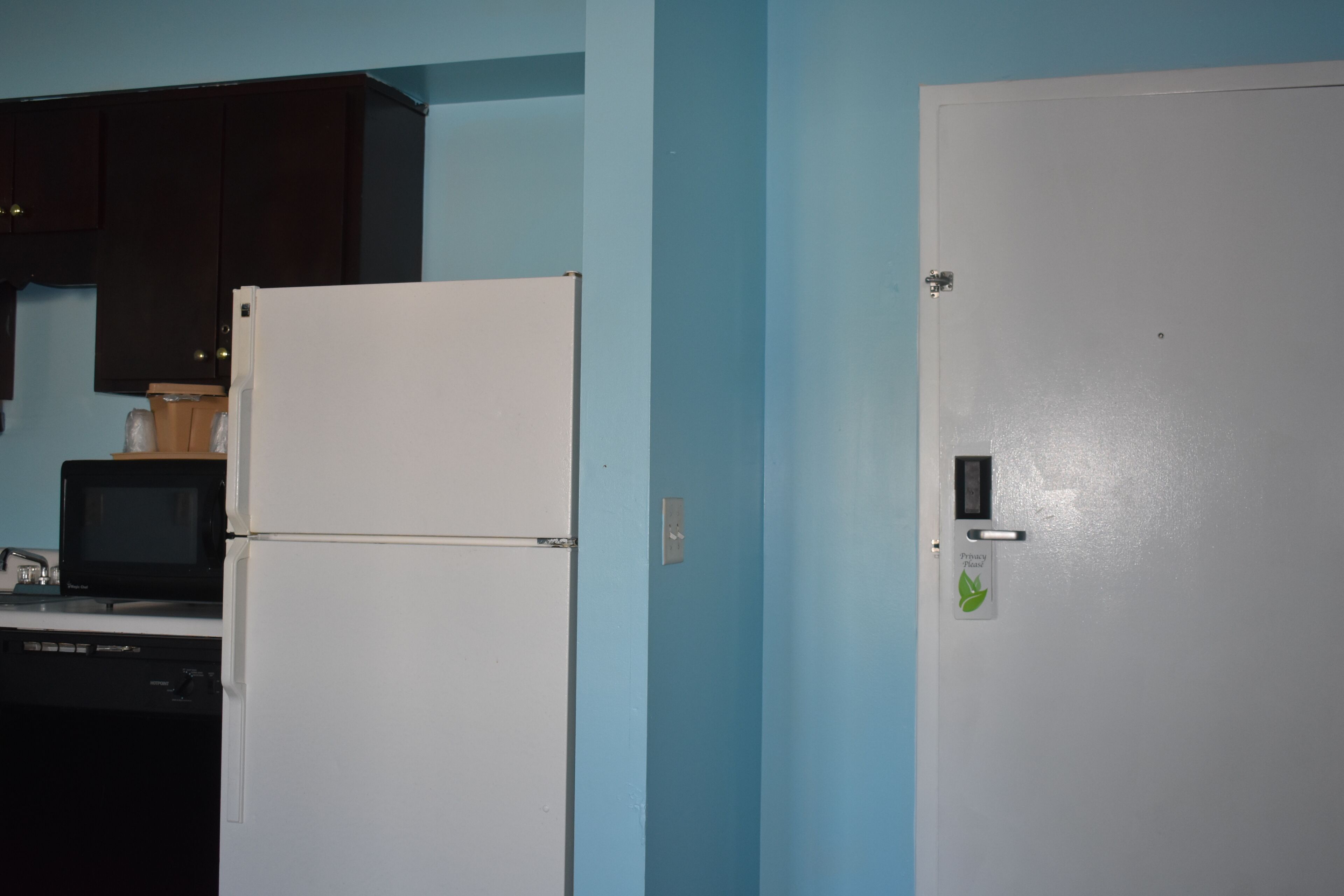 A kitchen with a white refrigerator, a microwave, and dark cabinets.