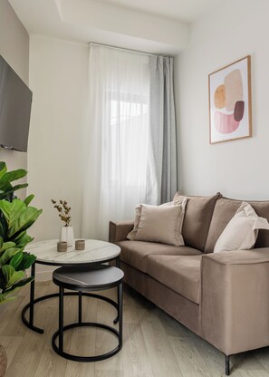 SOL Meteor | Woonruimte | Een 43-inch flatscreentelevisie met digitale zenders