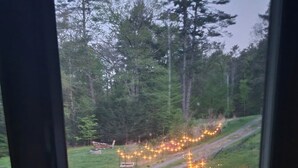 A window view of a forested area with a path and string lights.