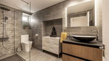 Shower, hair dryer, towels