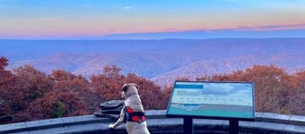 Elegant & Cozy 2Bed Condo with Loft @Blue Knob All Seasons Resort