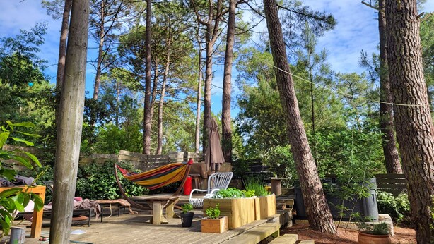 Une terrasse en bois avec un hamac, du mobilier d’extérieur et des jardinières.