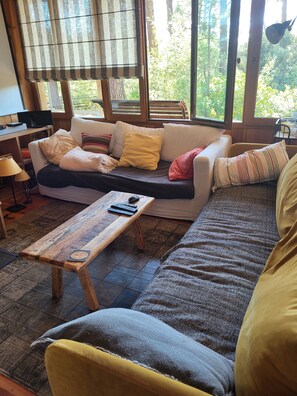 TV, ping pong, books, stereo