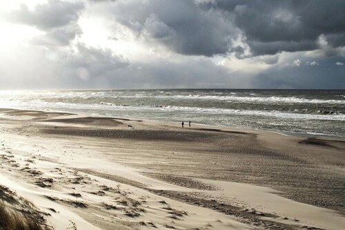 Charming forest cabin