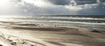 Charming forest cabin