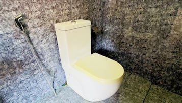 Hair dryer, towels, soap, toilet paper
