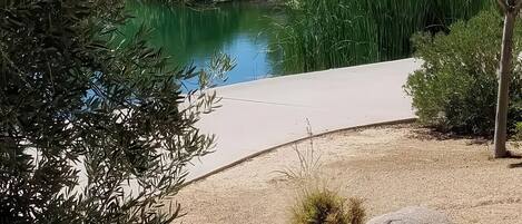 المنطقة المحيطة بالمنشأة