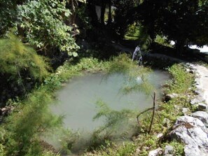 Apartment, 1 Bedroom, Accessible, Patio | Garden