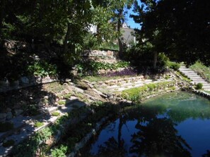 Apartment, 1 Bedroom, Accessible, Patio | Garden