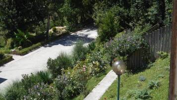 Apartment, 1 Bedroom, Accessible, Patio | Garden