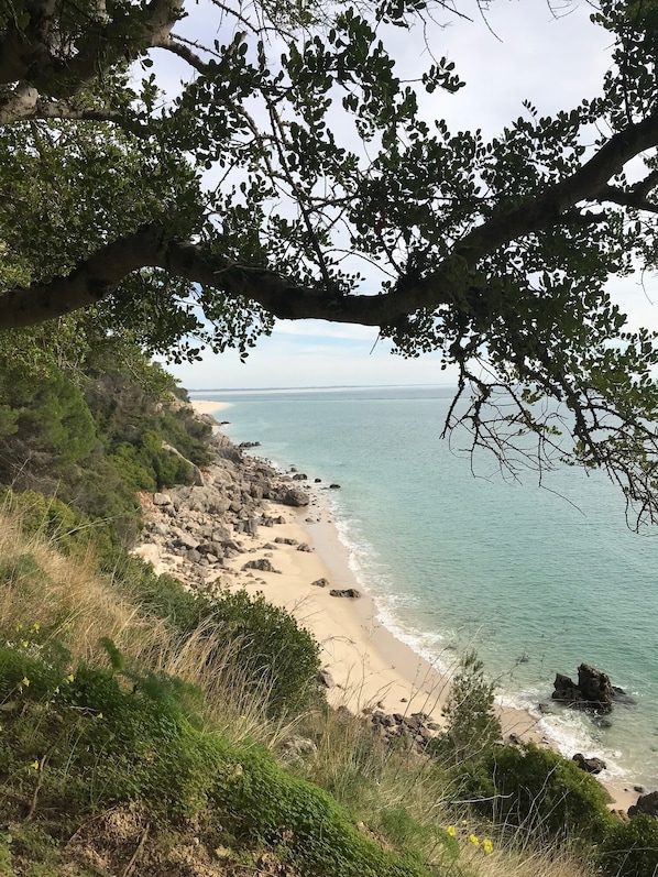 Plage à proximité