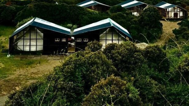 Un paisaje costero con varias construcciones modernas de techos de vidrio, integradas en exuberante vegetación.