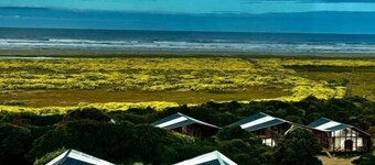 Chiloé Loft & Glamp