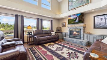 Télévision, cheminée, lecteur de DVD, espaces bureaux