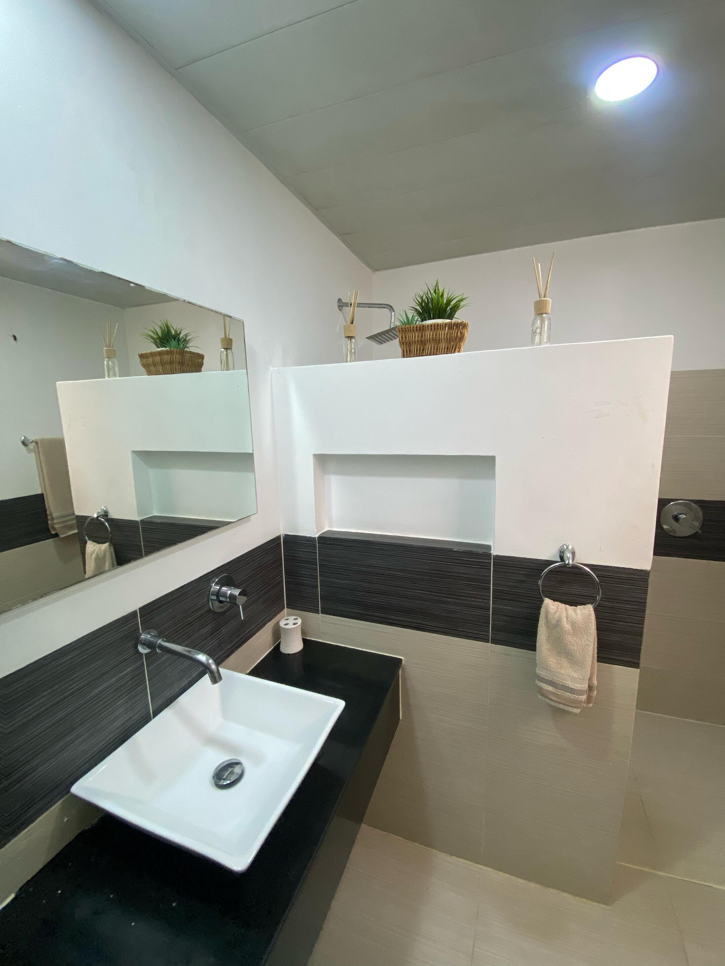 A modern bathroom with a white sink, black countertop, and a large mirror. There is a towel rack with a towel hanging on it, and a small potted plant on the wall.