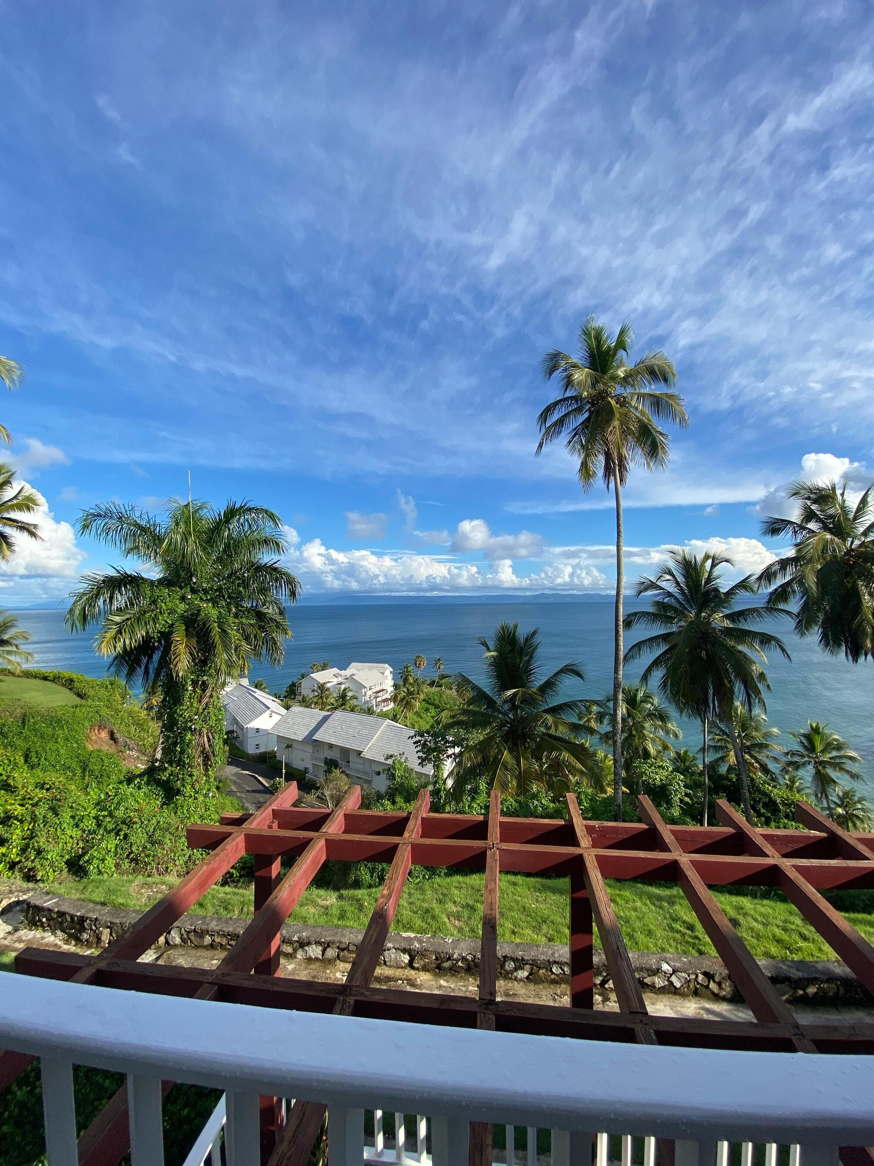 A view of a coastal area with palm trees and a clear sky.