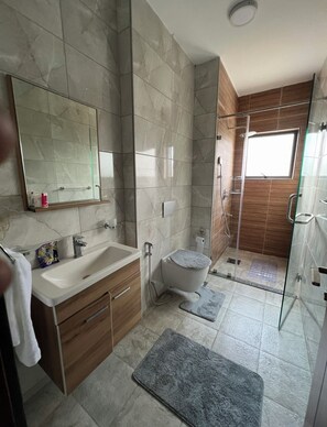 Shower, hair dryer, bidet, towels