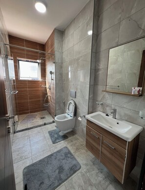 Shower, hair dryer, bidet, towels