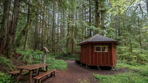 Une cabane en bois rustique, entourée d’une forêt dense.