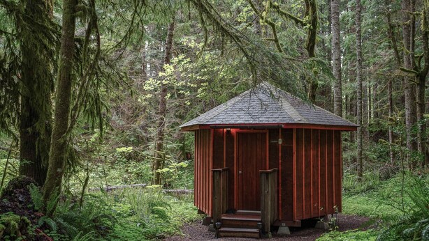 Une petite cabane en bois, dotée d’un toit en pente, entourée d’une forêt dense et de fougères.