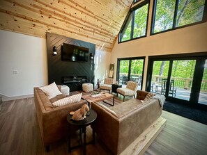 Smart TV, chimenea, libros