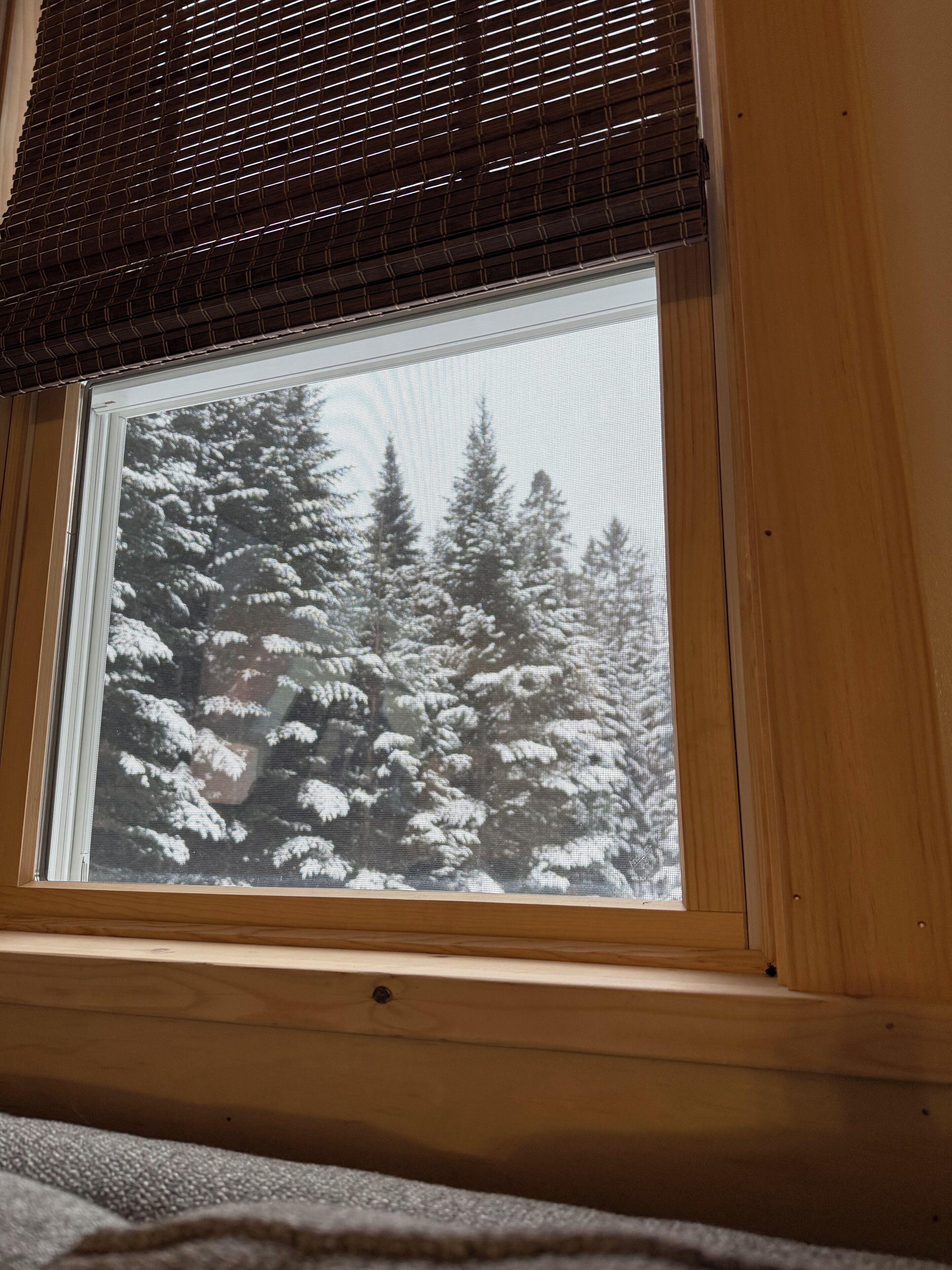 Een uitzicht op besneeuwde bomen vanuit een raam.