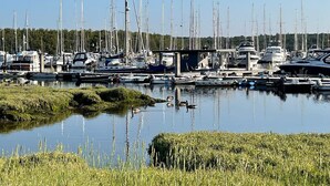 A marina with numerous boats docked, surrounded by grassy areas and trees. - Peppercorn  An Enchanting house in Lymington (Hampshire)