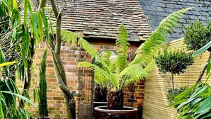 A brick courtyard with a large potted fern, a small tree, and various other plants. - Peppercorn  An Enchanting house in Lymington (Hampshire)
