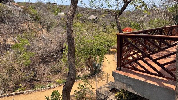 Une terrasse en bois offrant une vue sur un paysage naturel, avec des arbres et un sentier de terre.