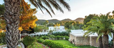 Jardines del alojamiento