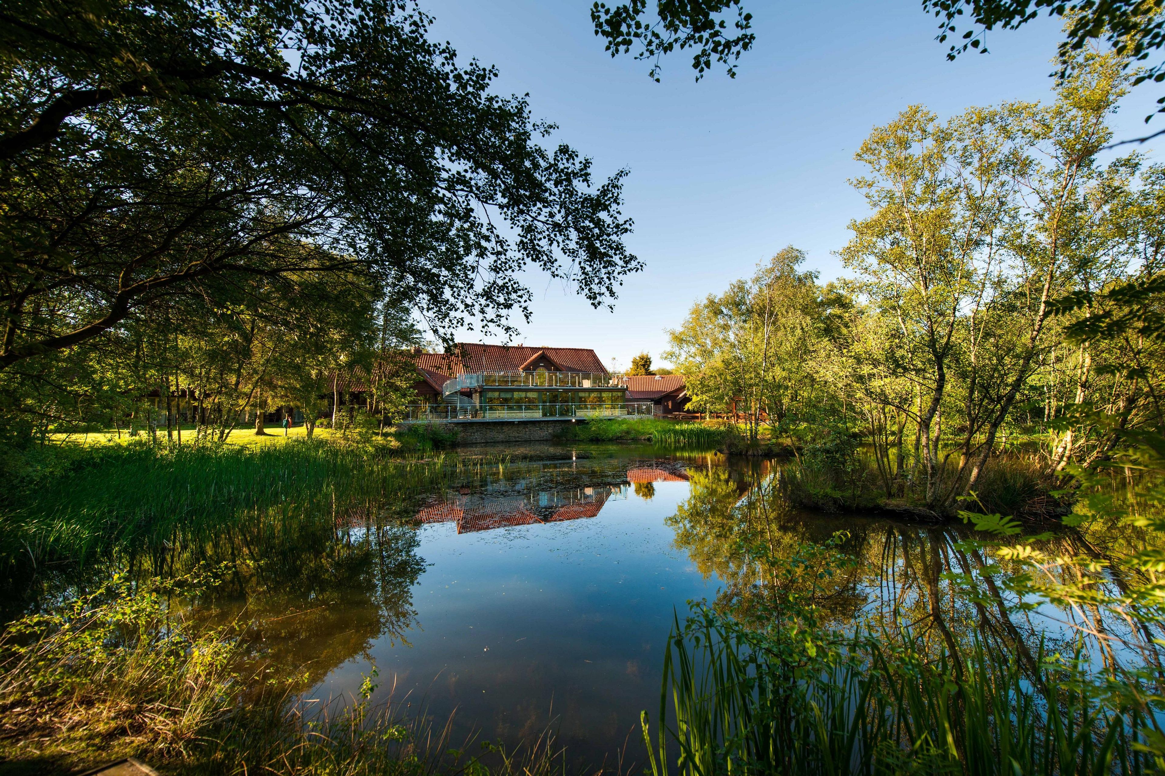 Uma casa com um lago à frente, rodeada por árvores.